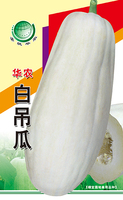 华农白吊瓜