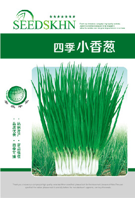 绿四季小香葱